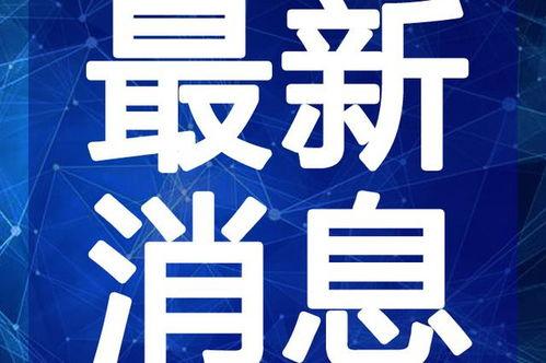 宋哥哥厦门爆料视频最新,揭秘厦门美食与风土人情